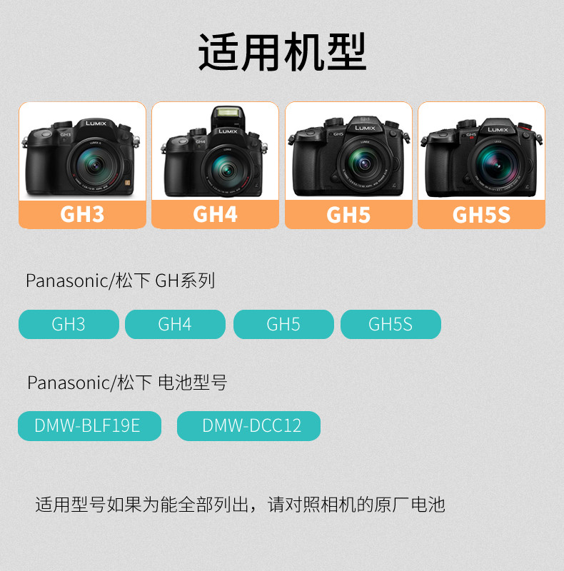 DMW-DCC12-2.jpg