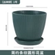 Jungle Green № 1 (диаметр 19 см)