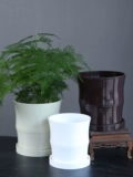 Высококачественные цветочные горшки, настольные пластиковые цветочные горшки из утолщенной смолы, круглый зеленый редис, сочная спаржа, маленькие цветочные горшки, бесплатная доставка и поднос.