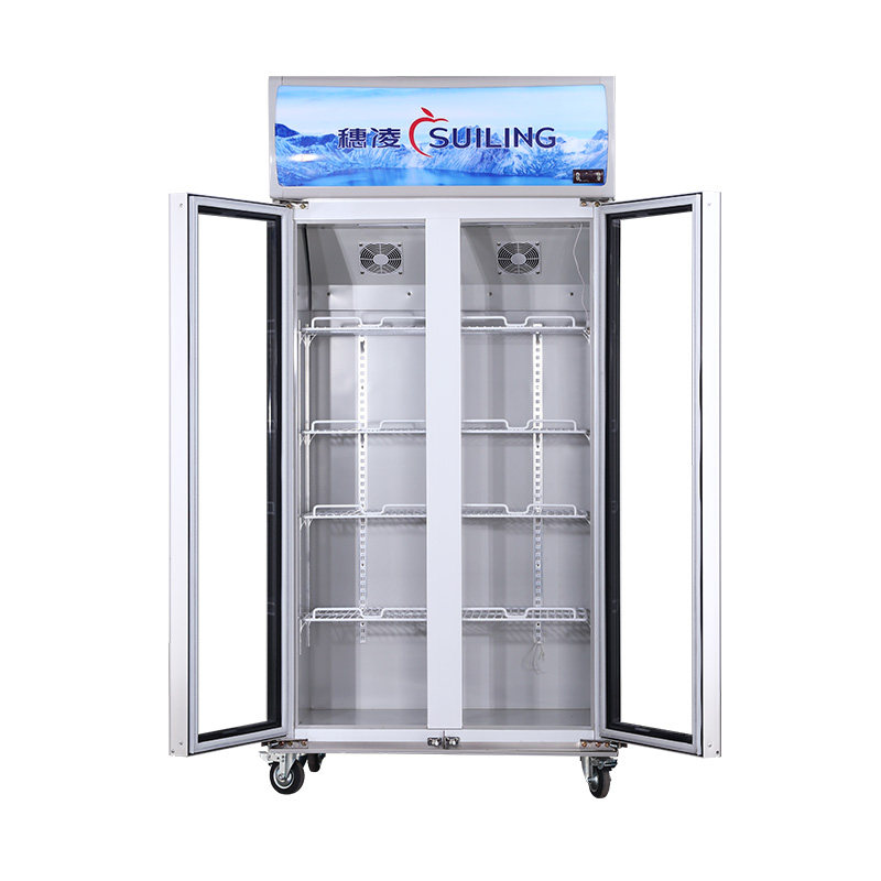 ����˫�ű��� LG4-482M2F