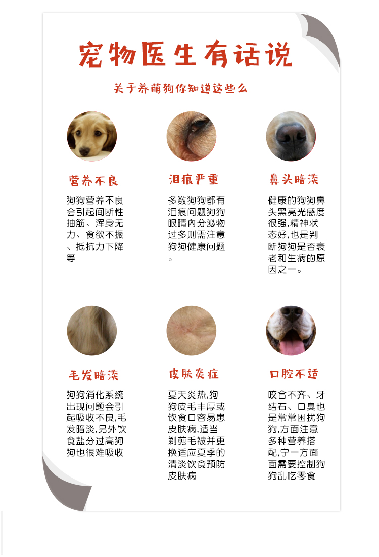 Thức ăn cho chó loại chung Bernard Tian nguyên chất để xé tất cả chó, vịt, lê, không hạt, hạt tự nhiên, lửa trong, Teddy 500g - Chó Staples thức ăn cho chó phốc hươu