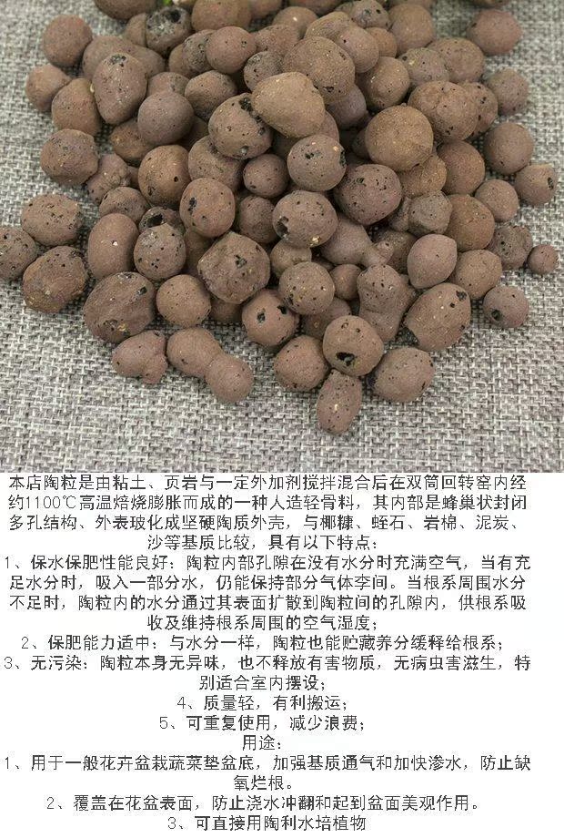 Đất dinh dưỡng Ceramsite Trồng vô cơ gốm carbon đất hấp thụ nước và nước tốt trồng dưới đất dụng cụ làm vườn chuyên nghiệp