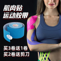 Football basketball thigh knee ankle arm muscle sprain soreness cotton sports elastic bandage muscle paste