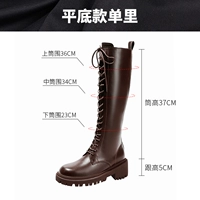 【Земли и финансирование】 Одиночный коричневый цвет