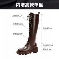 [Родился в модели кружева] Одиночный коричневый цвет