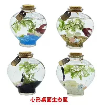 Creative desktop micro-landscape ecological bottle Office small betta micro-ecological glass bottle free water change small fish tank