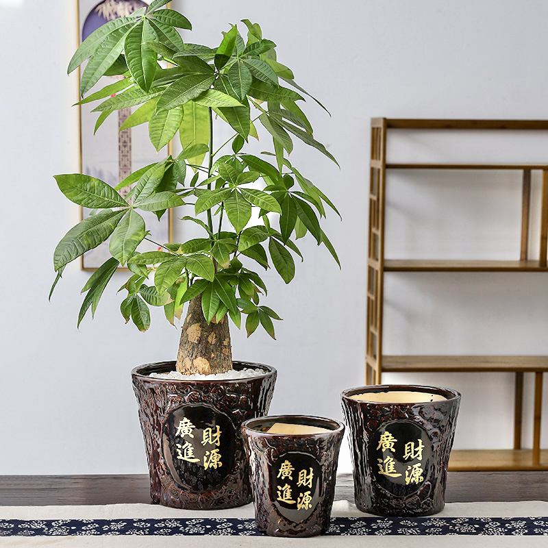 Chinese-Style Classical Tree Stump-Shaped Money Tree with Ceramic Flower Pot, Symbolizing Wealth Flowing In, Comes with a Plastic Tray Chinese-Style Classical Tree Stump-Shaped Money Tree with Ceramic Flower Pot, Symbolizing Wealth Flowing In, Comes with a Plastic Tray