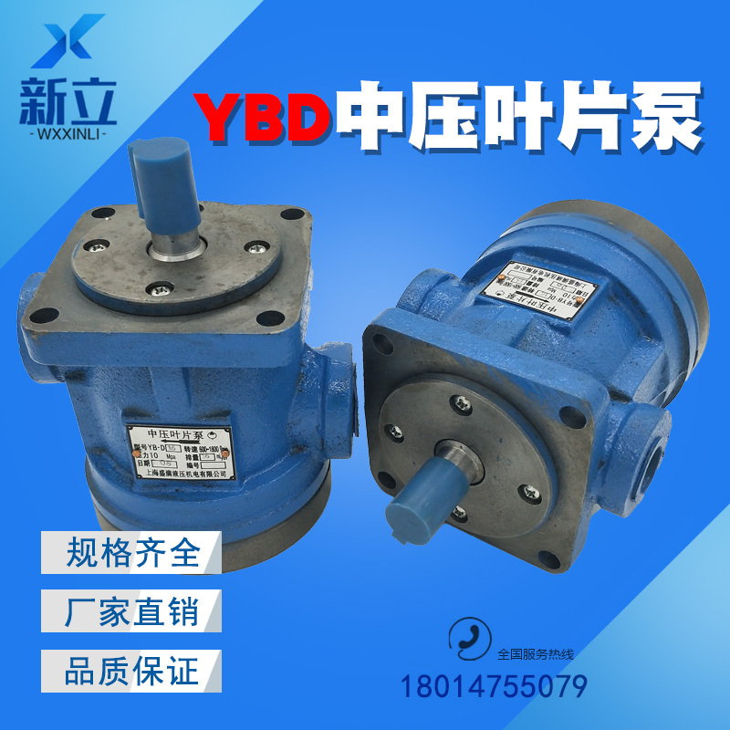 Medium Pressure Vane Pump Yb-D6.3 Yb-D10 Yb-D16 Yb-D25 Yb-D32 Yb-D12 Yb-D20