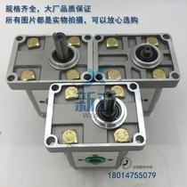 Gear Pump CBN-F306 CBN-F310 CBN-F316 CBN-F325 CBN-F320 F314 F304