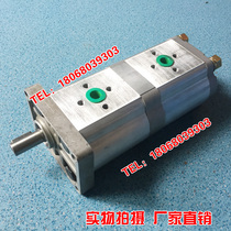 Medium and high pressure double gear oil pump CBN-F310 310 F316 F306 F320 F320 F325 F320
