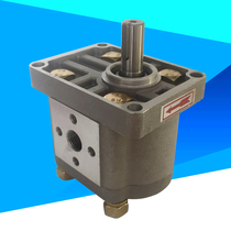 Gear Pump CBN-E306 CBN-E310 CBN-E316 E318 E320 CBN-E325 E312 304