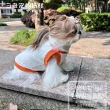 Топ с чашечками, летний простой шаблон, домашний питомец, кошки и собаки, кот