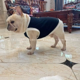 Топ с чашечками, летний простой шаблон, домашний питомец, кошки и собаки, кот