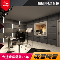 Mute case recording studio sound absorption sound insulation acoustic decoration Dragonfly FM recording studio case