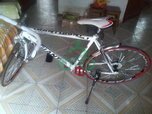 Sticker pour vélos - Ref 2279060 Image 23