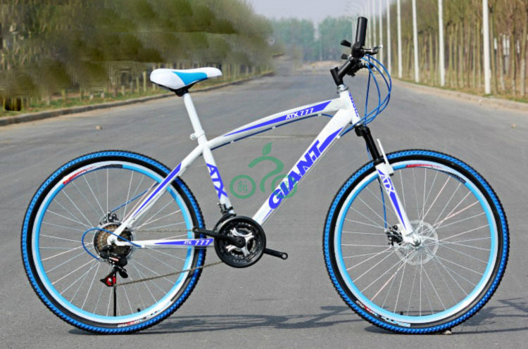 Déco pour vélo - Ref 2281190 Image 13