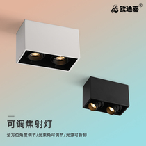 Bright Spot Spotlight Double Head Suction Top Cob Shop Merchant With Living Room Room Balcony Aisle Rectangular Led Ceiling Lamp