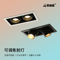 Spotlight Double Head led Embedded tooling Home Living room Bedroom Room Aisle Cob Sky Lanterns without main lamp Lighting