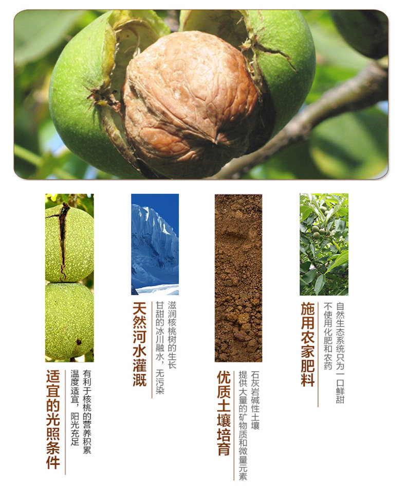 西域之尚 19年新货 新疆薄壳纸皮生鲜核桃 1斤 图3