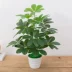 Nhà máy mô phỏng chậu tiền cowpot chậu trong nhà giả hoa trang trí cây xanh bonsai cây giả phòng khách trang trí trang trí - Hoa nhân tạo / Cây / Trái cây Hoa nhân tạo / Cây / Trái cây