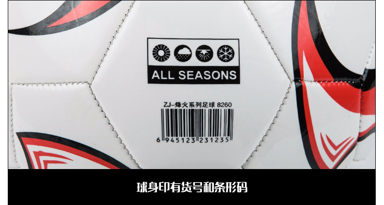Ballon de football - Ref 7351 Image 33