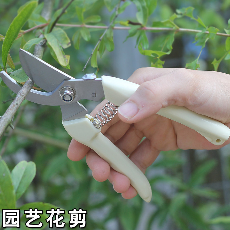 Gardening pruning shears flower scissors household labor-saving branch scissors orchard thick branch shears multi-function tool flower pruning scissors