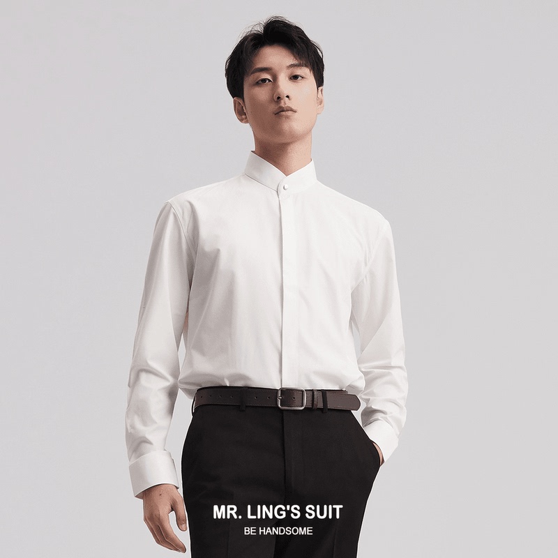 Chinese-Style Stand-Up Collar Professional Shirt for Men, Long-Sleeved, 2024 Spring and Autumn, Slim-Fit Business Casual Workwear, Wrinkle-Resistant, Round-Neck White Shirt