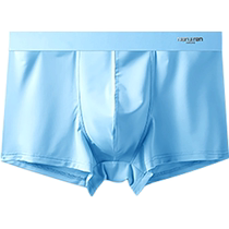 Anjiren Ice Silk Mens Underwear Boys Boxer Briefs Boxer Shorts Seamless Summer Thin Antibacterial Cotton Crotch