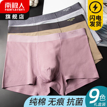 Antarctic men mens underwear cotton boxer summer cotton no trace breathable trend personality boxer head DG