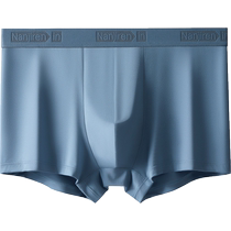 Antarctica modal ice silk boys underwear mens boxer shorts pure cotton antibacterial crotch boxer briefs mens