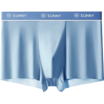 Antarctic Ice Silk Seamless Mens Underwear Boys Boxer Briefs Youth Summer Antibacterial Boxer Shorts