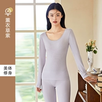 Лаванда фиолетовый