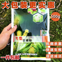 Anticorrosive rooting powder to encourage rooting liquid rooting agent Fruit tree seedlings cuttings transplanting roots universal strong rooting powder