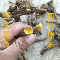 Scutellaria baicalensis wild quarried no additives sulfur-free fumigation naturally grown wild scutellaria baicalensis.