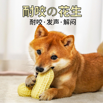 one thousand Spoiled family dog vocal toy grinders resistant to bite teddy kirchai canine canine canine companionship with toys