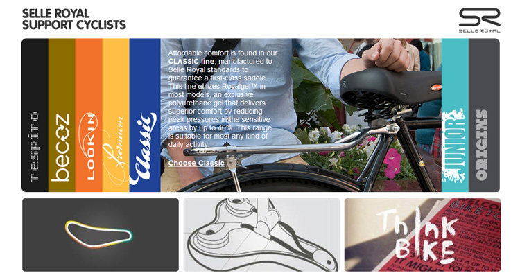 Selle de vélo Mountain Bike SELLE ROYAL - Ref 2350615 Image 21