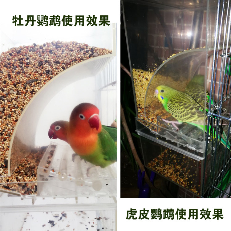 Parrot Automatic Feeding Device Xufeng Tiger Pewdian Gold Sun