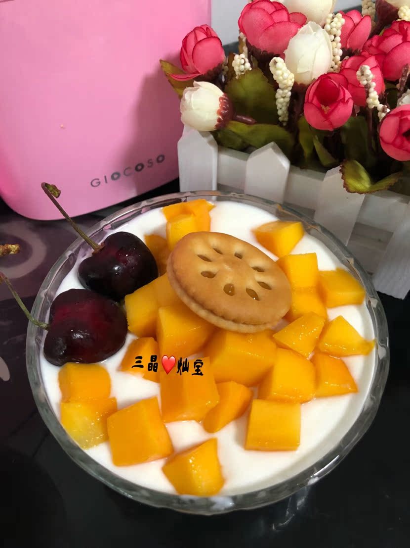 máy làm yaourt Trái cây gy6101 trẻ em hướng dẫn sử dụng gia đình không cắm điện sữa chua máy phô mai gạo rượu vang Natto máy sữa chua bột - Sản xuất sữa chua