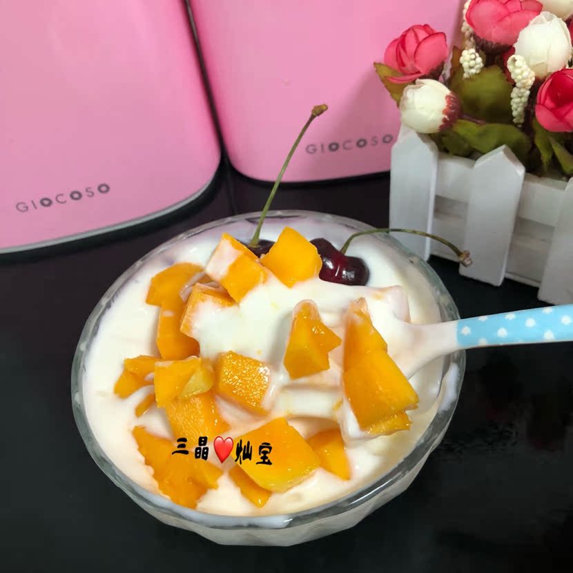 máy làm yaourt Trái cây gy6101 trẻ em hướng dẫn sử dụng gia đình không cắm điện sữa chua máy phô mai gạo rượu vang Natto máy sữa chua bột - Sản xuất sữa chua