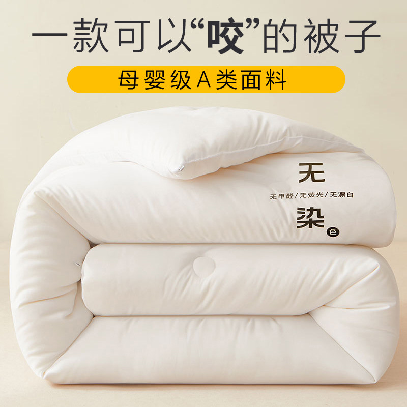 Class a Soybean Fiber Quilt, Winter Quilt, Thickened Warm Quilt for Spring and Autumn, Dormitory Single Student Bedding, Quilt Core