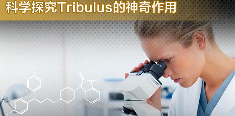 Jarrow Hedgekey Bọ cạp Androgen tự nhiên Testosterone Hormone tăng cường nội tiết tố dành cho người lớn - Thức ăn bổ sung dinh dưỡng thuốc thực phẩm chức năng