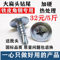 National standard Cross large flat head flat head drilling tail nail self-tapping self-drilling self-drilling dovetail silk colored steel tile iron sheet special screw 4 2
