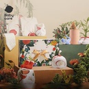 babycare新生儿礼盒满月初生见面礼