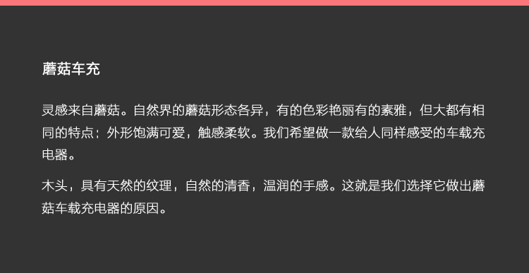 chargeur 2.1A, 2A - Ref 1294667 Image 21