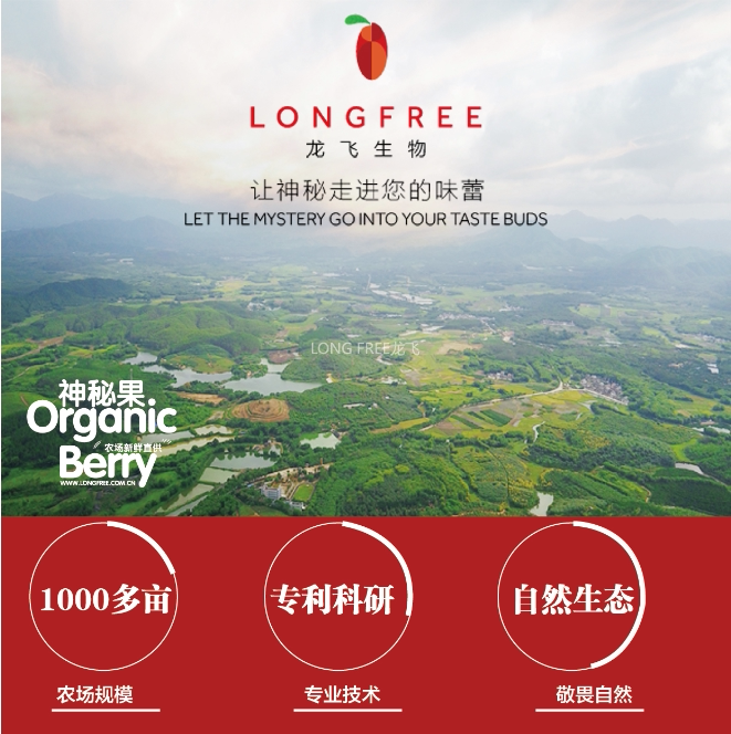 神秘果樹苗(圖1)