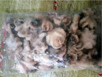 Dalian Snack Frozen Octopus Octopus Octopus Squid Squid squid head frozen seafood 1000g