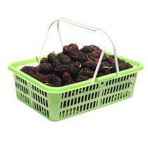 Mulberry Basket Plastic Hand Picking Square Round Strawberry Cherry Fruit Packaging Basket Manufacturer