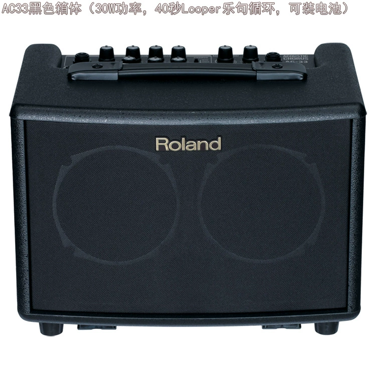 Roland Roland AC33 AC33RW AC40 AC60 đàn guitar acoustic dân gian - Loa loa