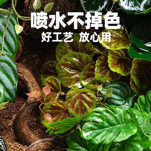 Восхождение на ландшафтные заводы для ландшафта животных живут в крабе, ящерица земли, ящерицы для подъема дождевых лесов Зеленые растения, чтобы избежать декоративных украшений