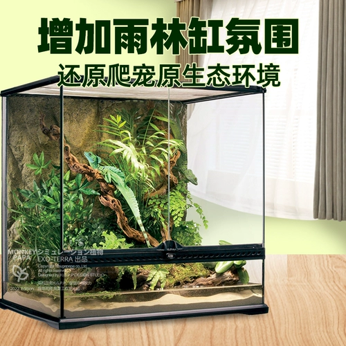 Сиджин с восхождением на поднимание